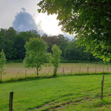 Appartement Villa Le Plateau. La Bourboule Eksteriør billede