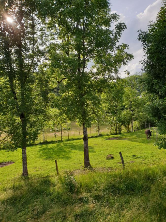 Appartement Villa Le Plateau. La Bourboule Eksteriør billede